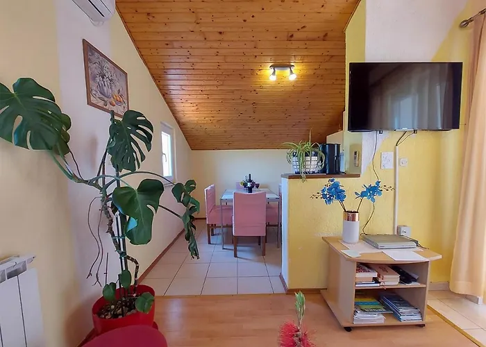 Marica Apartament *