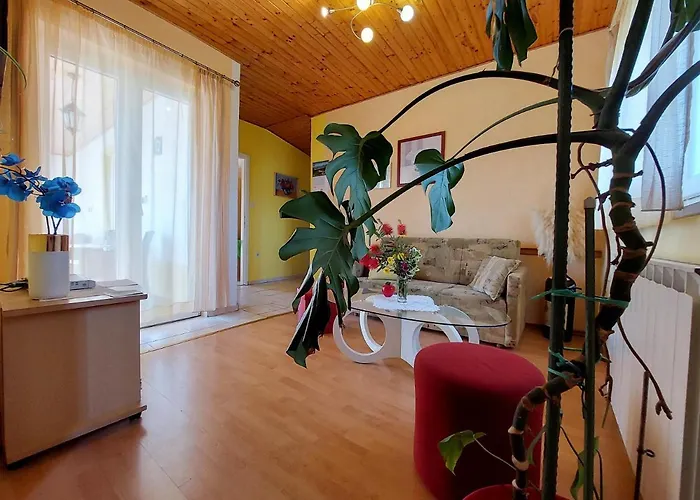 Apartament Marica Čižići