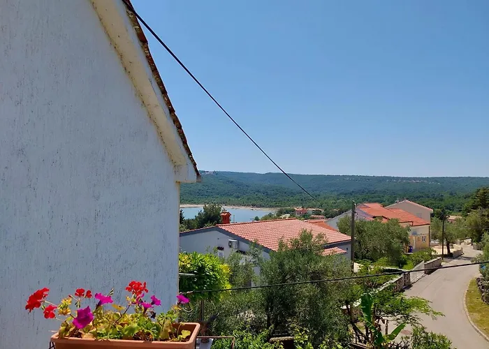 Apartament Marica Čižići