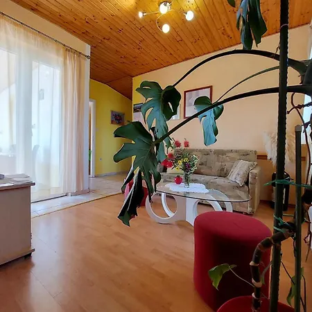 아파트 Marica Čižići